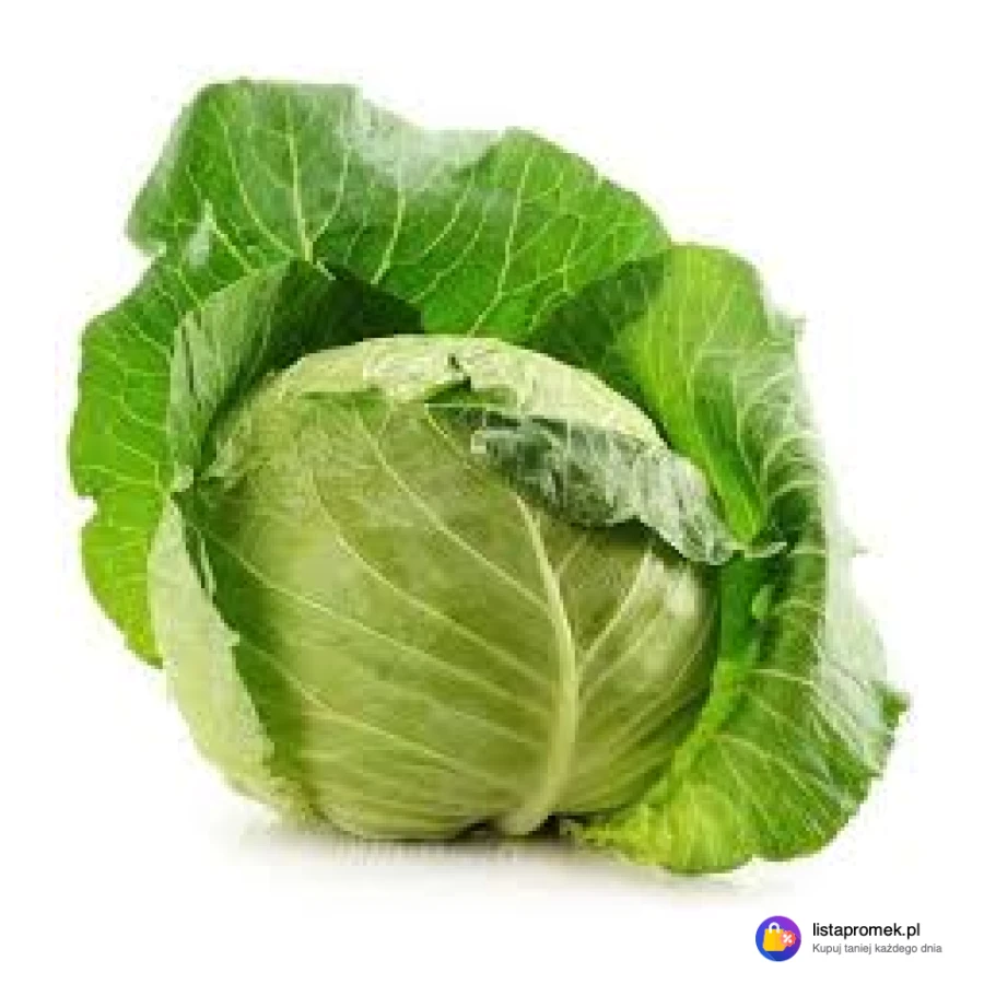 Kapusta biała młoda