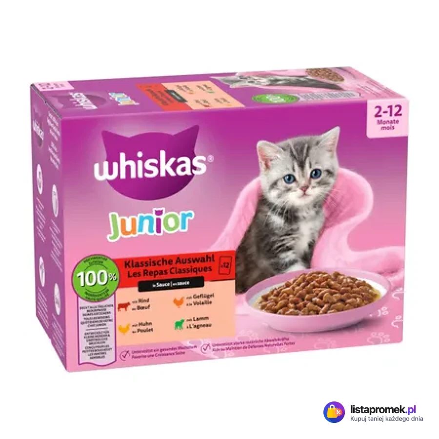Karma dla kotów w saszetkach, różne rodzaje