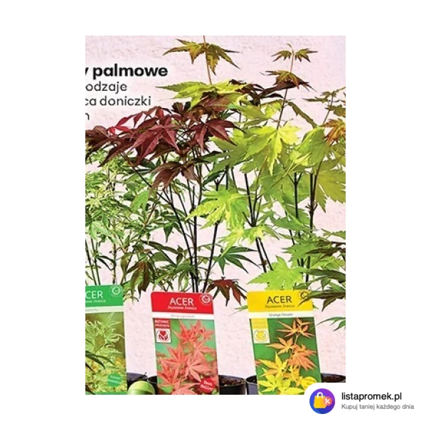Klony palmowe