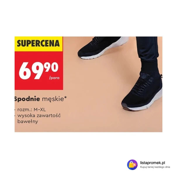 Spodnie męskie